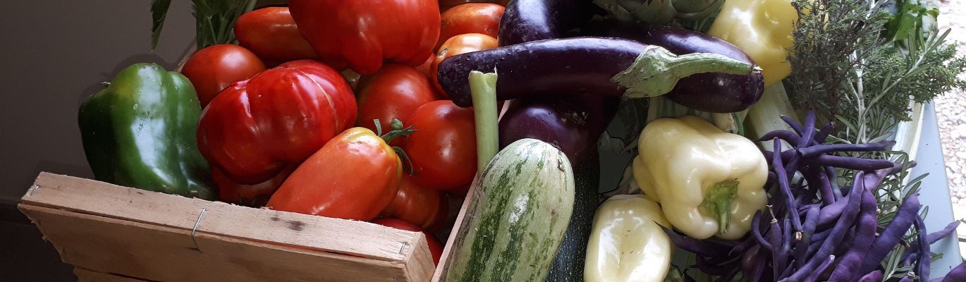 Notre table : récolte du jour chambre d'hôte ain gite de France ain